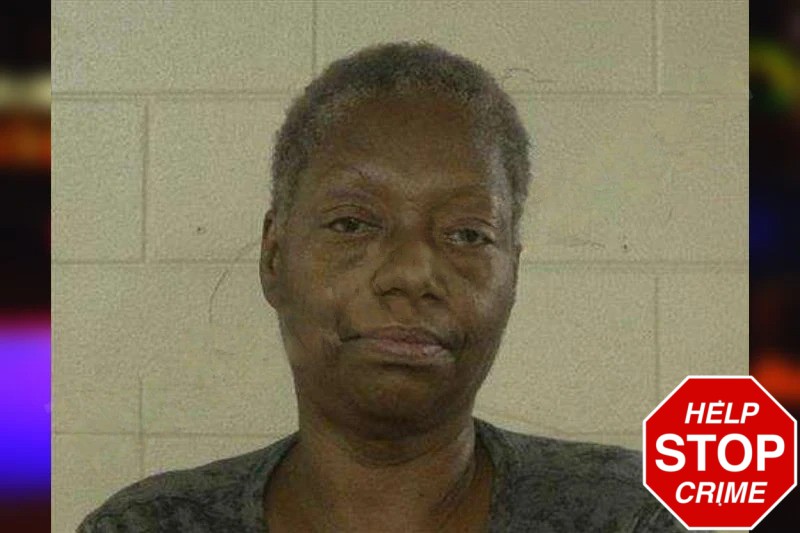 Nicole Taylor mugshot – Liberty County , Georgia Nicole Taylor mugshot