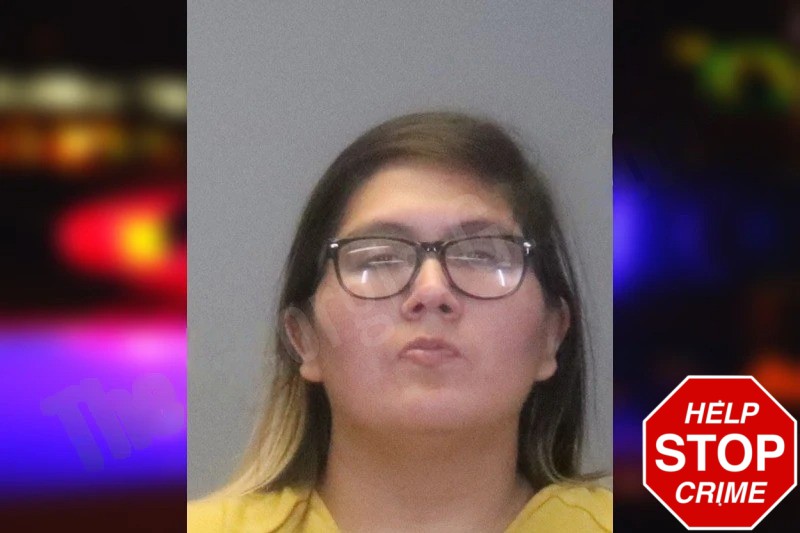 Nikita Stout Mugshots