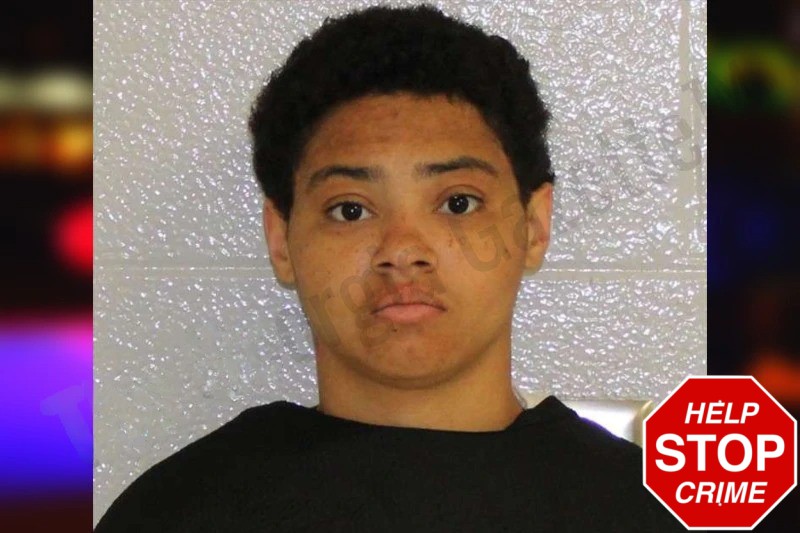 Nikya Boykin mugshot – Carroll County , Georgia Nikya Boykin mugshot