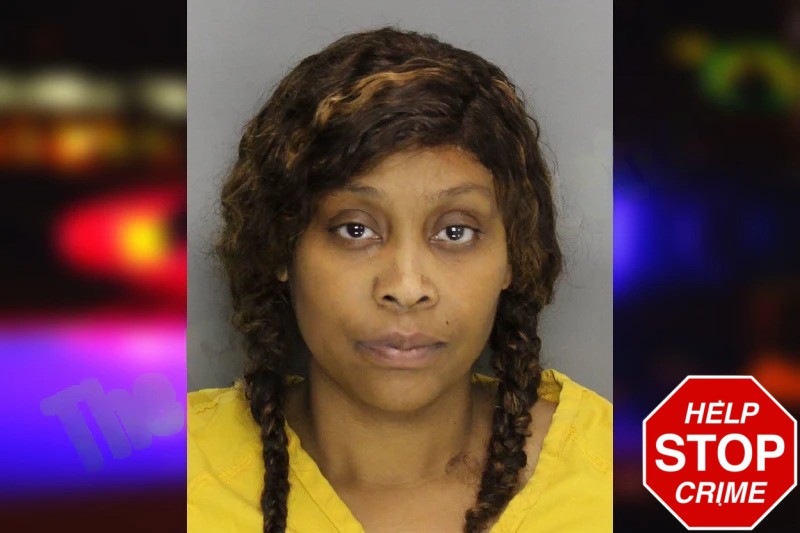 Nilisha Sturdivant mugshot – Cobb County , Georgia Nilisha Sturdivant mugshot