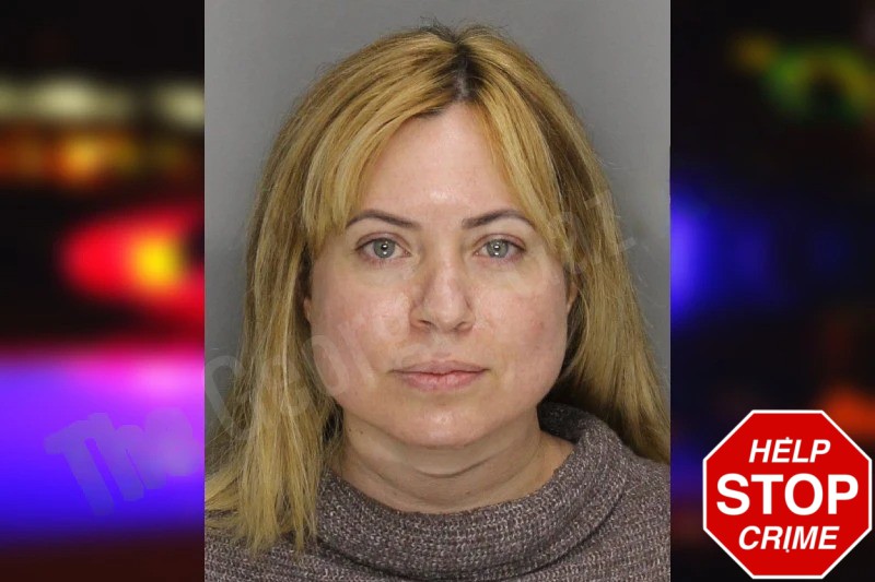 Noemi Morrison mugshot – Cobb County , Georgia Noemi Morrison mugshot