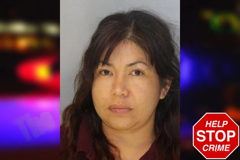 Nohemi Diaz-Lucio Mugshots