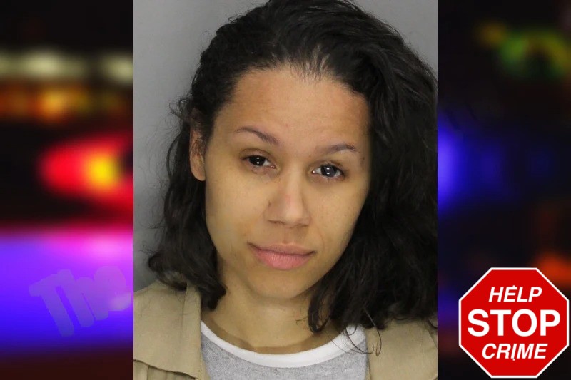 Nora Rodgers mugshot โ Cobb County , Georgia Nora Rodgers mugshot