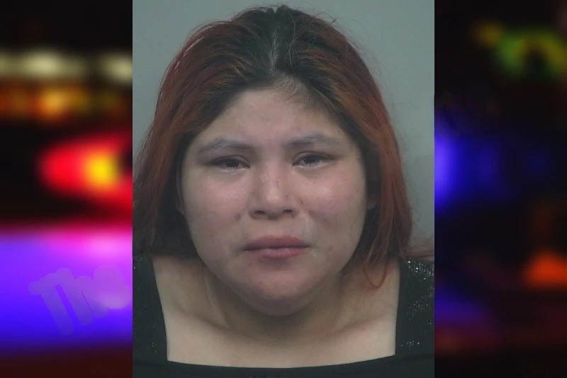 Norma Mejia Martin Mugshots