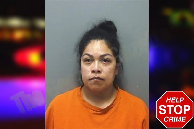 Norma Pacheco Mugshots