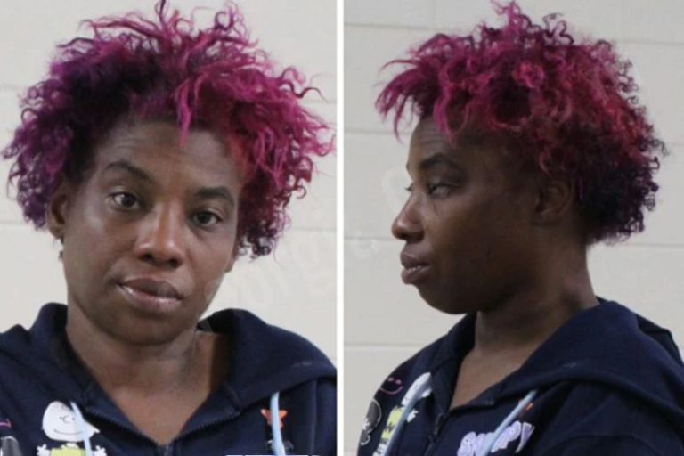 Octavia High mugshot – Houston County , Georgia Octavia High