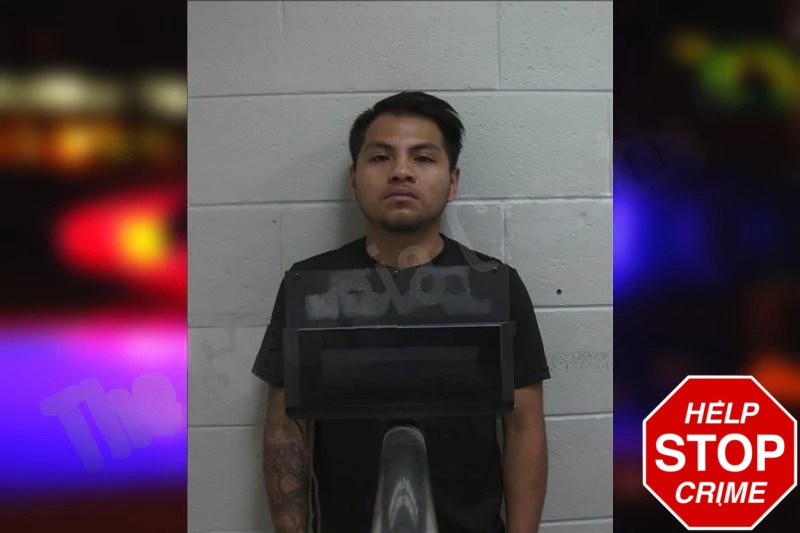 Octavio Perez Mugshots