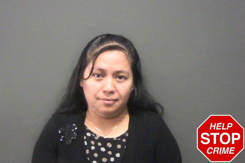 Olga Mendez Nolasco Mugshots