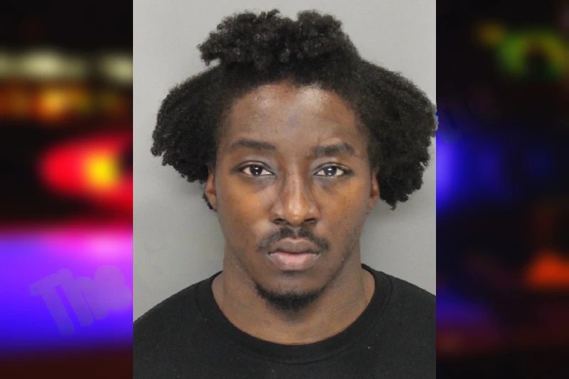 Oluwatimiley Omolabi mugshot – Cobb County , Georgia Oluwatimiley Omolabi mugshot