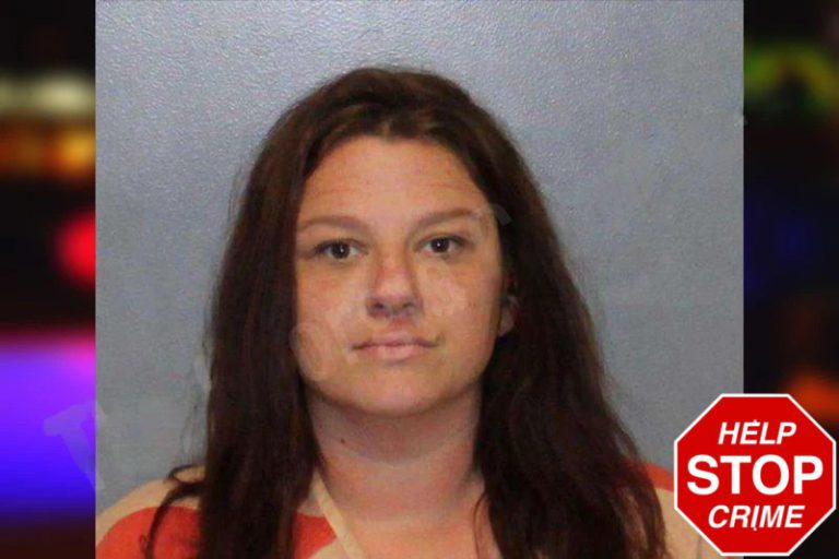 Paige Ayers mugshot β White County , Georgia Paige Ayers