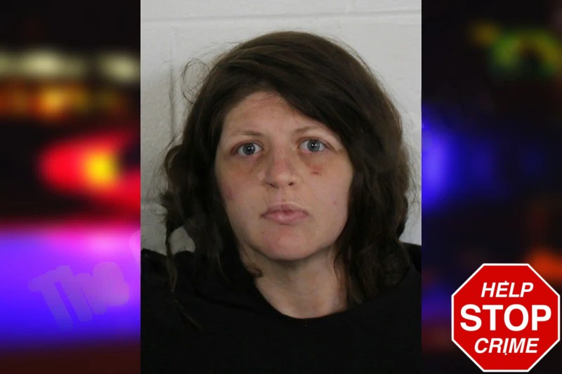 Paige Orcutt Mugshots