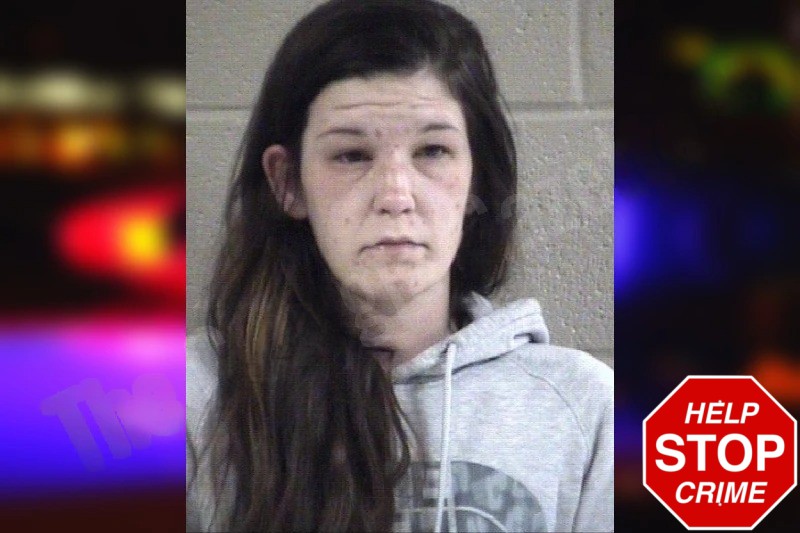 Pamela Castillo Mugshots