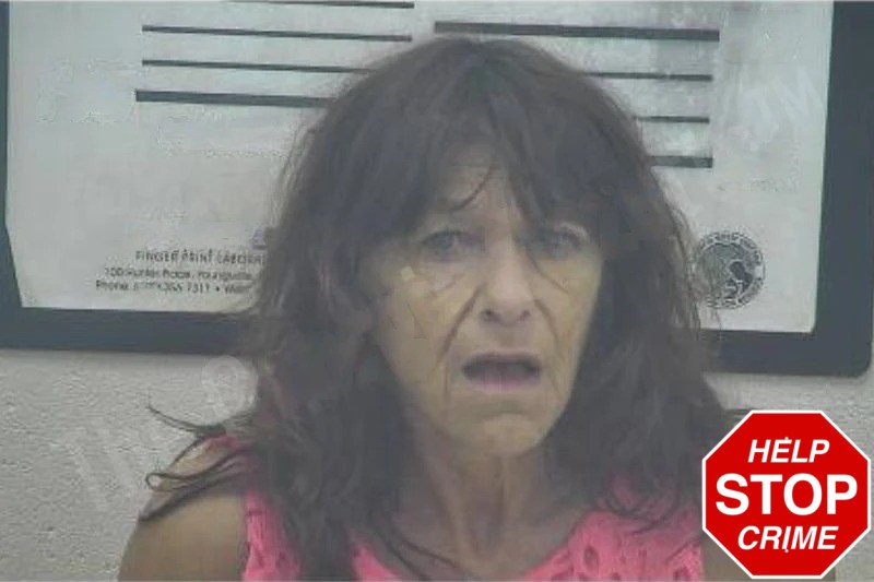 Pamela Cook Mugshots