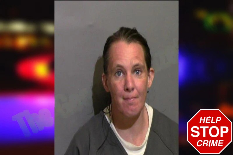 Pamela Guiles Mugshots