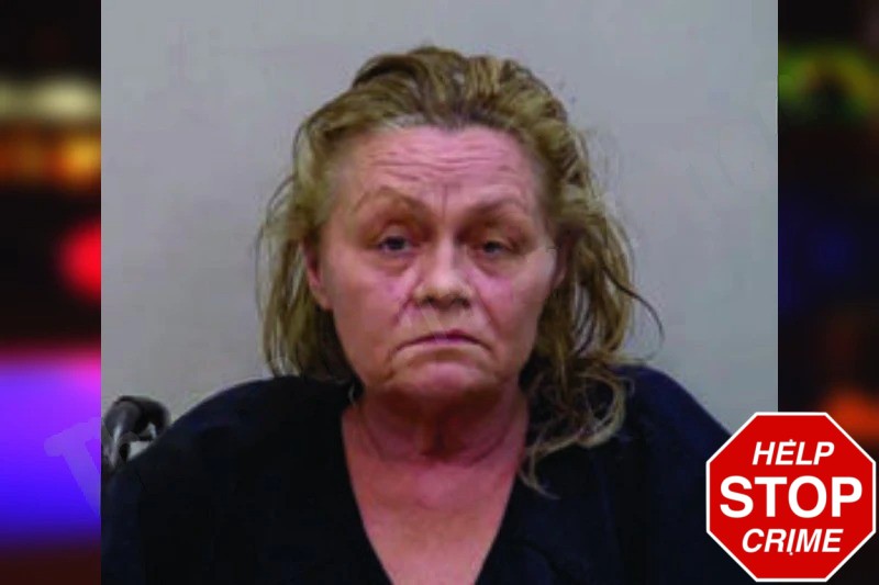 Pamela Hall Mugshots