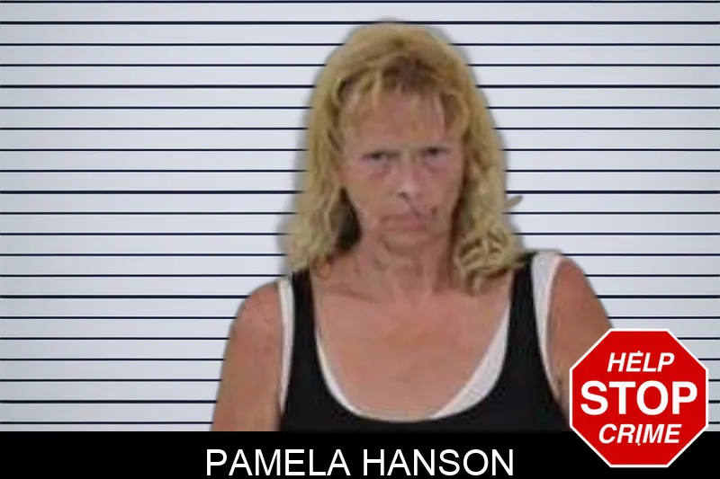 Pamela Hanson Mugshots
