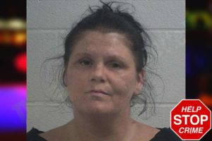 Pamela Howell mugshot