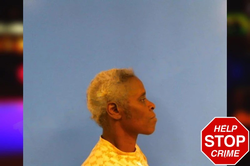 Pamela Sharp Mugshots