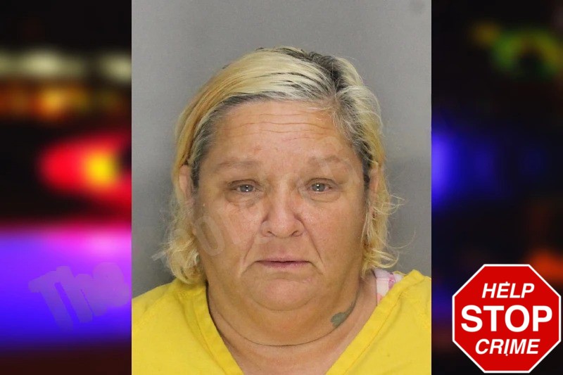 Pamela Thompson mugshot