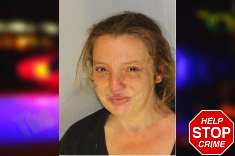 Pamela Whitfield Mugshots