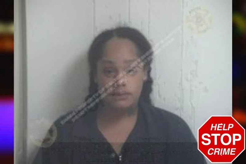 Paris Cannedy Mugshots