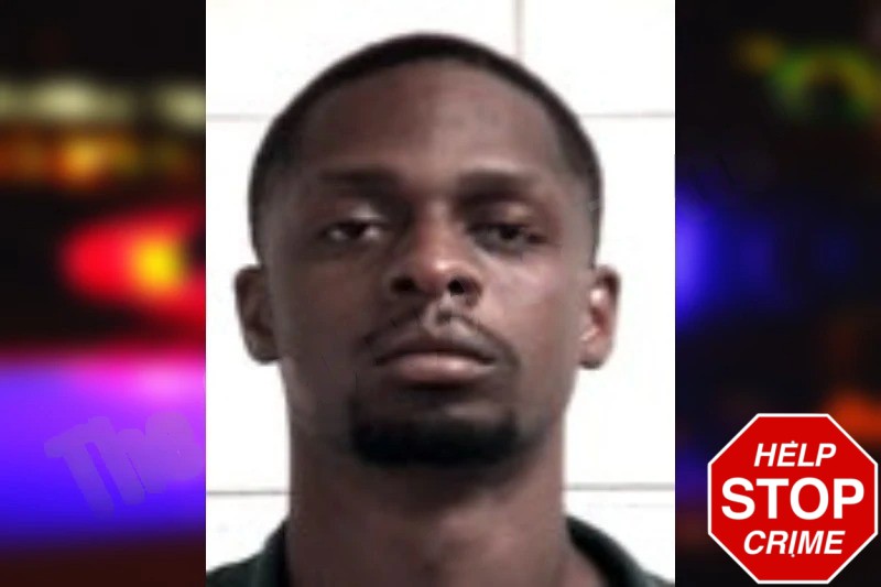 Paris Owens Mugshots