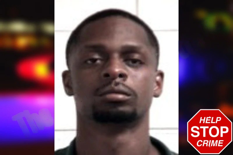 Paris Owens Mugshots