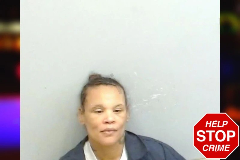 Patricia Lytle Mugshots