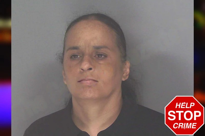 Paula Tillman Mugshots