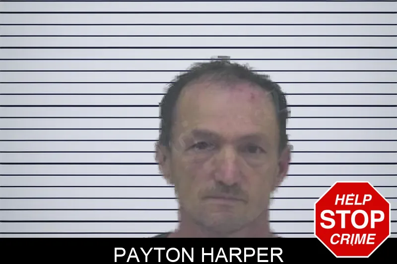 Payton Harper Mugshots