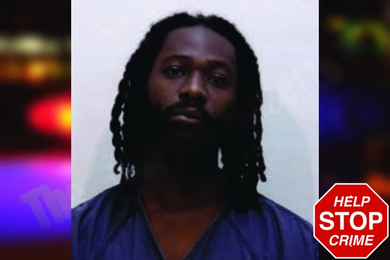 Pelumi Bakare Mugshots