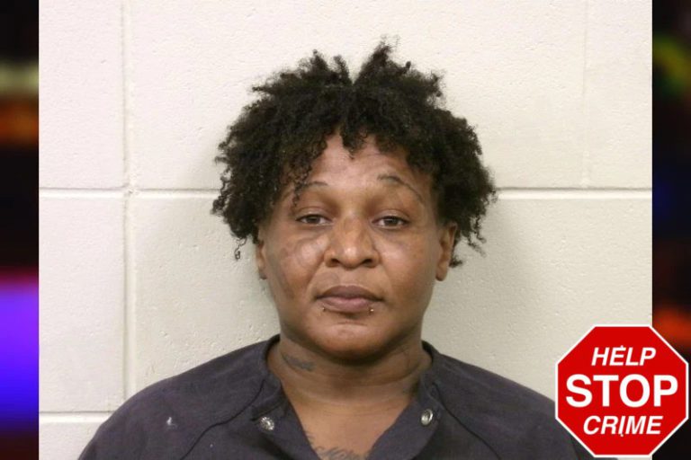 Perditha Drummer mugshot – Bulloch County , Georgia Perditha Drummer