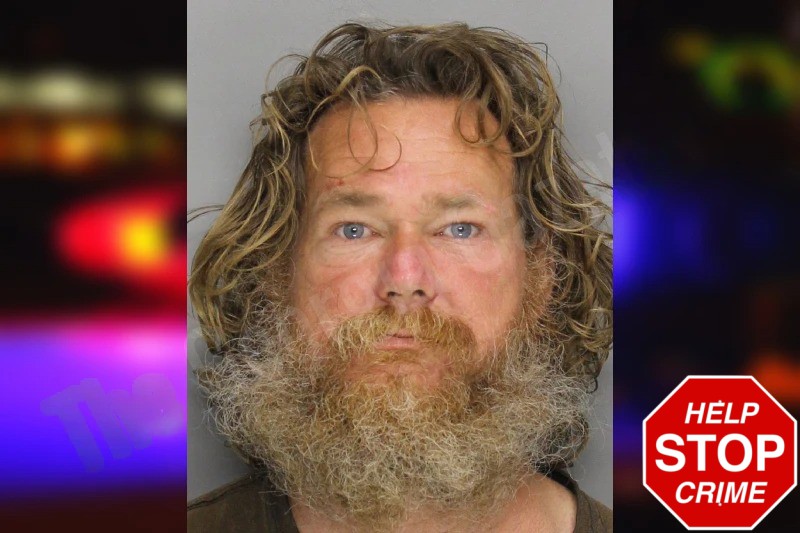 Perry McDougall mugshot – Cobb County , Georgia Perry McDougall mugshot