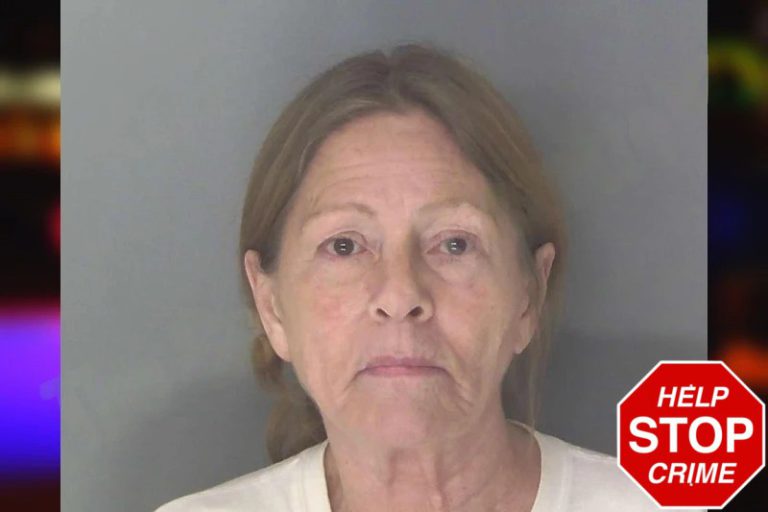 Phyllis Gomez mugshot – Douglas County , Georgia Phyllis Gomez