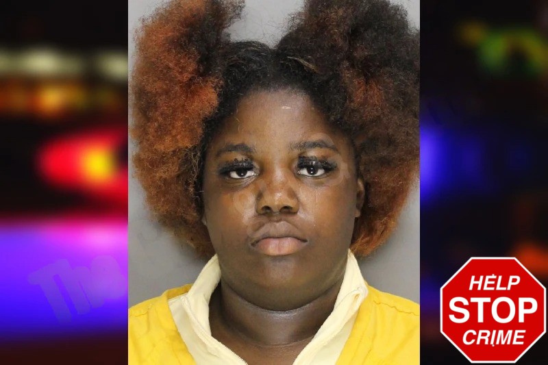 Precious Williams mugshot