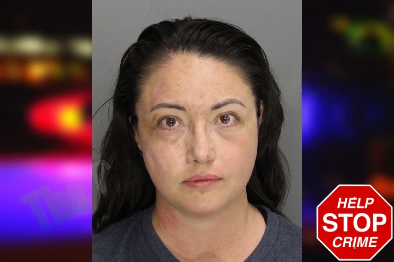 Priscilla Labate Mugshots