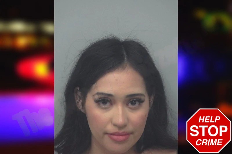 Prisila Ramirez Mugshots