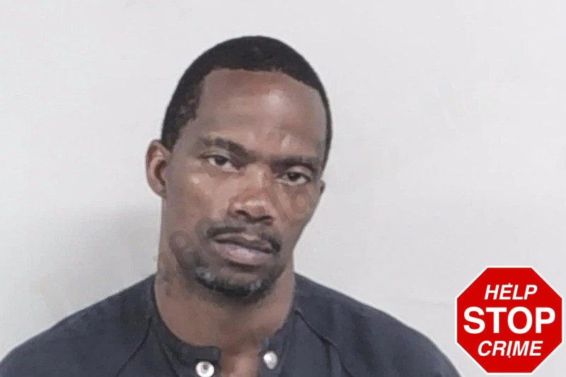 Quovadis Price Mugshots