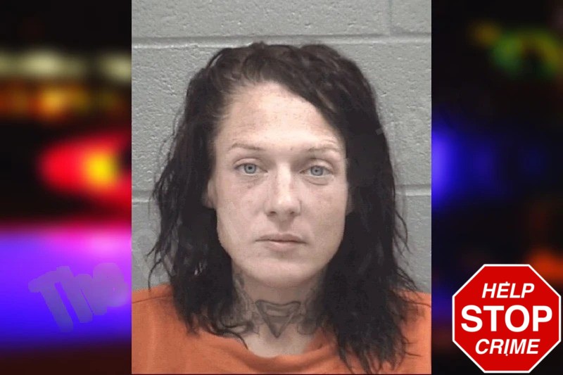 Rachael Lucas Mugshots