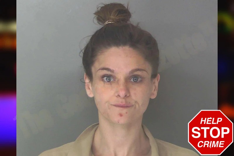 Rachael Rogers mugshot