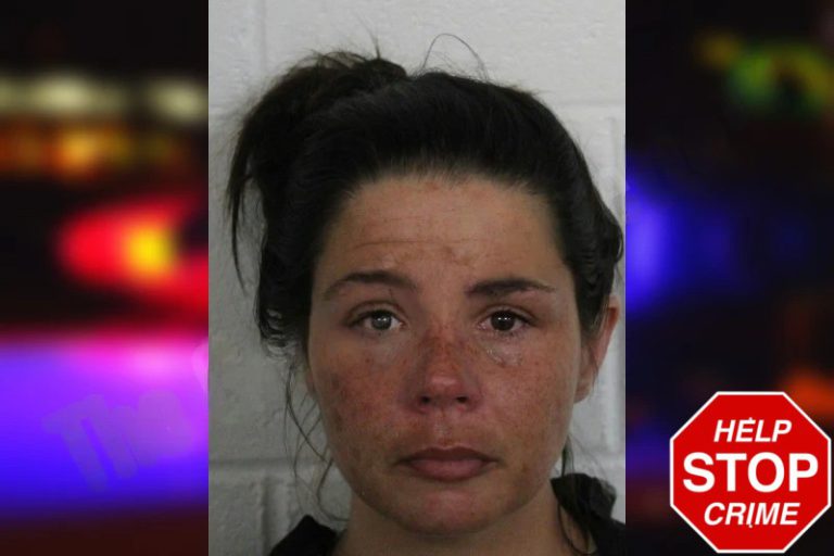 Rachel Atkins mugshot – Floyd County , Georgia Rachel Atkins