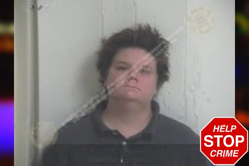 Rachel Goins mugshot