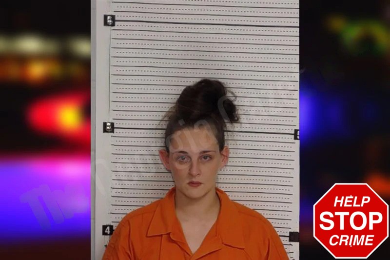 Rachel Moon Mugshots