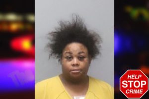 Rachelle Jenkins mugshot