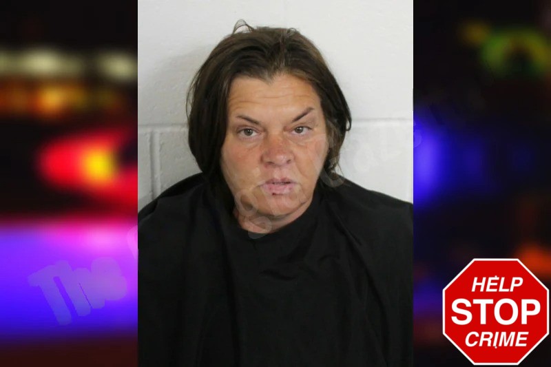 Ramona Milstead Mugshots