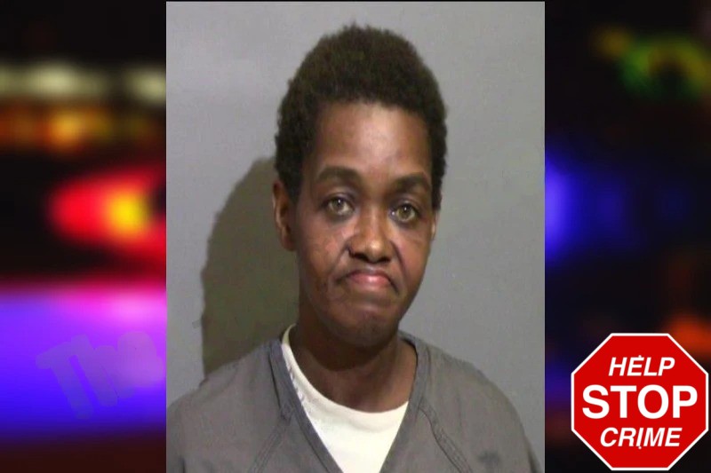 Ramona Newman Mugshots