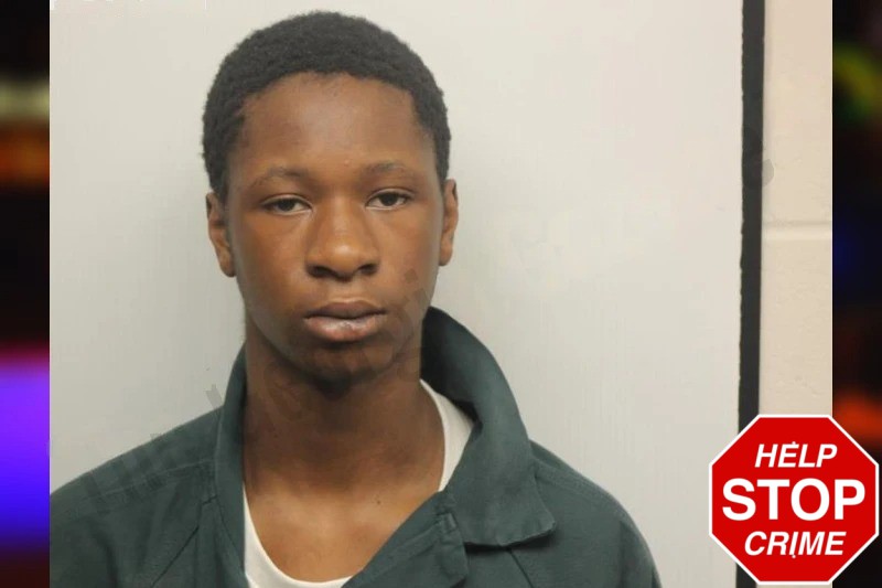 Ramone Coleman Mugshots