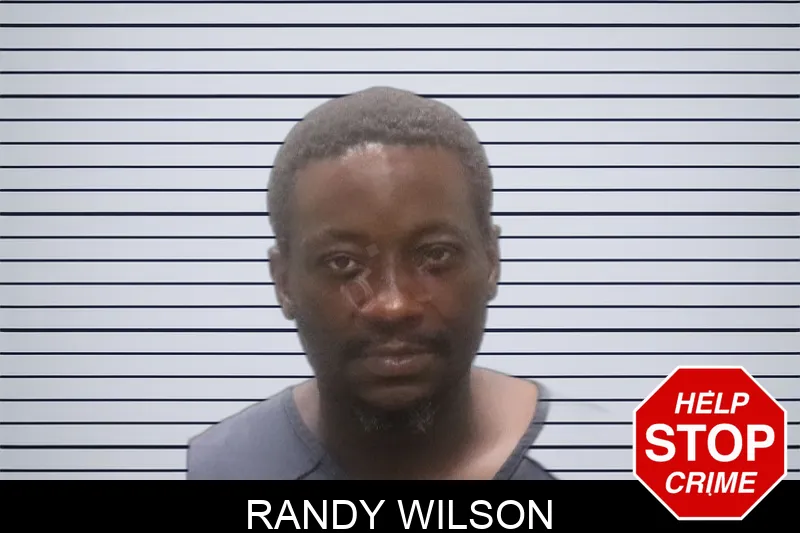 Randy Wilson Mugshots