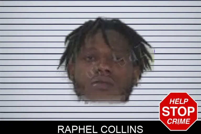 Raphel Collins