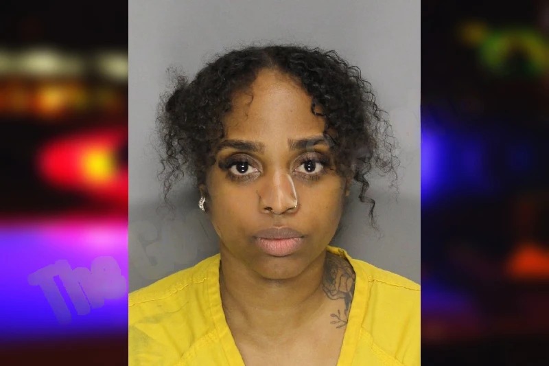 Raquel Raysor mugshot